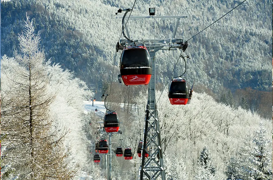 willa-feniks-krynica-jaworzyna