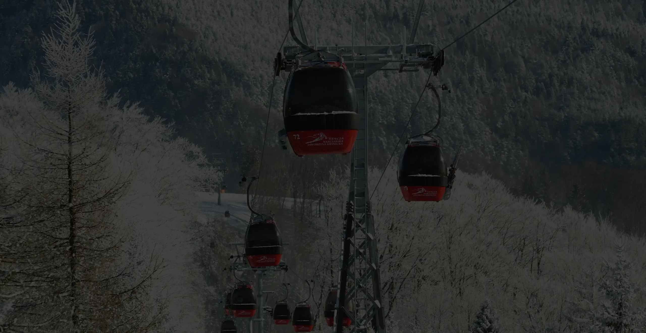 willa-feniks-krynica-zima2